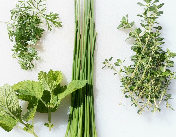Herbs get pruned naturally as you snip them for use.