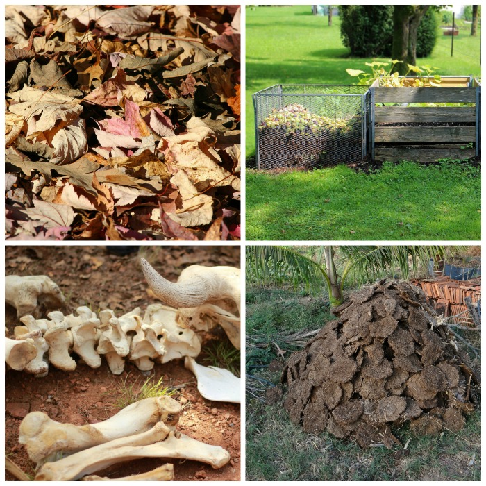 Natural fertilizers such as mulch, compost, bone meal and manure make your soil more fertile