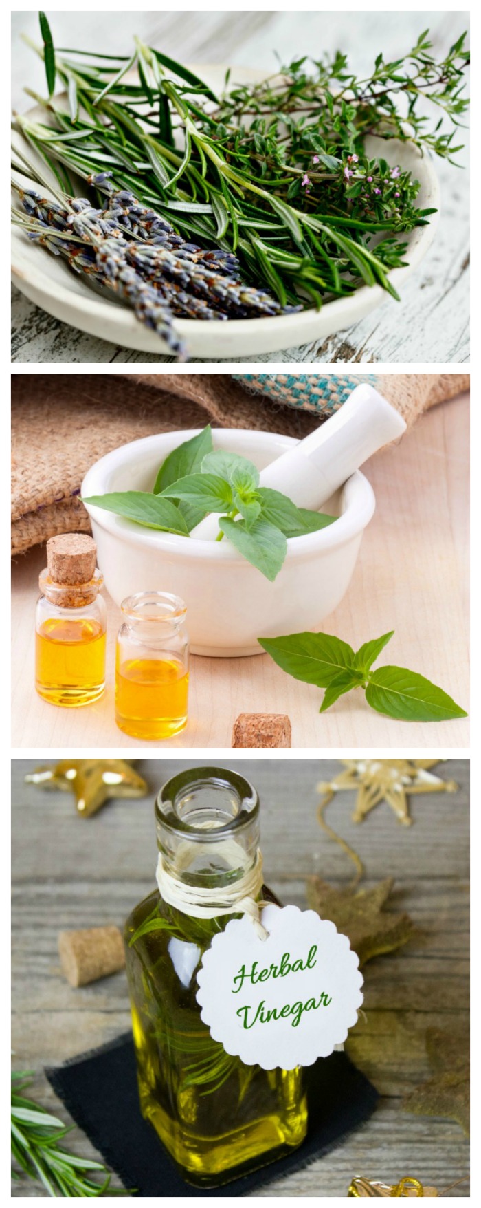 Fresh herbs can be used for cooking, for infused oils and for so many other purposes. Click through to see my guide for growing and using herbs.
