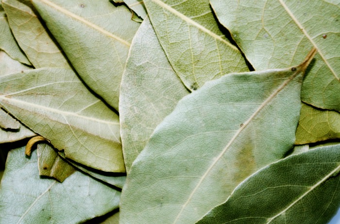 Dried bay leaves