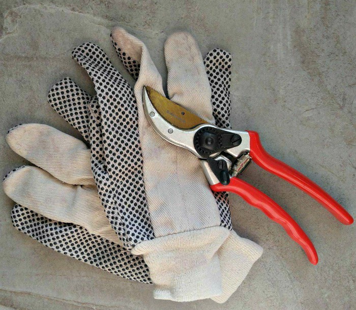 Garden gloves and pruning shears