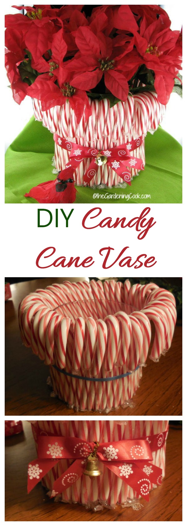 Super easy DIY Candy Cane vase. See my step by step tutorial: thegardeningcook.com/