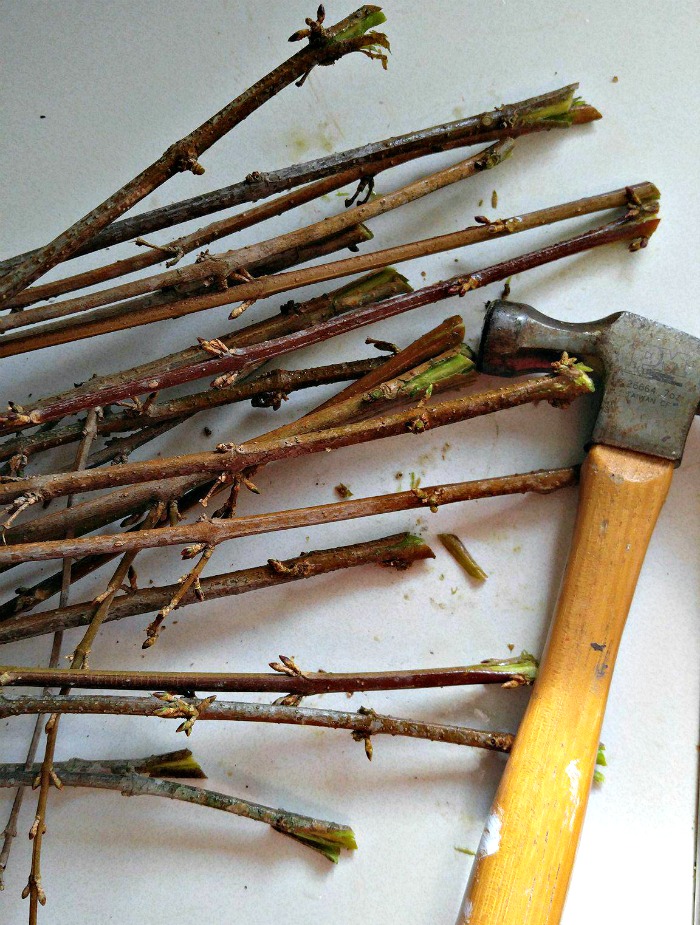 Use a hammer to open the ends of branches