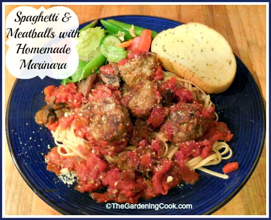 Spaghetti and Meatballs with a Marinara Sauce