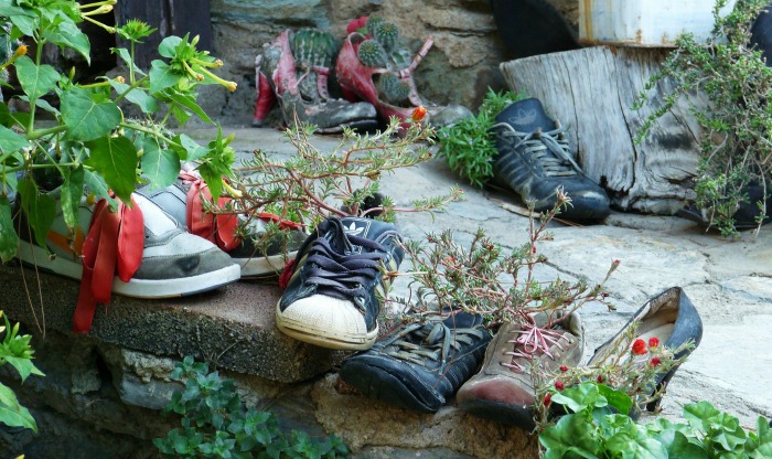 Shoes used as planters
