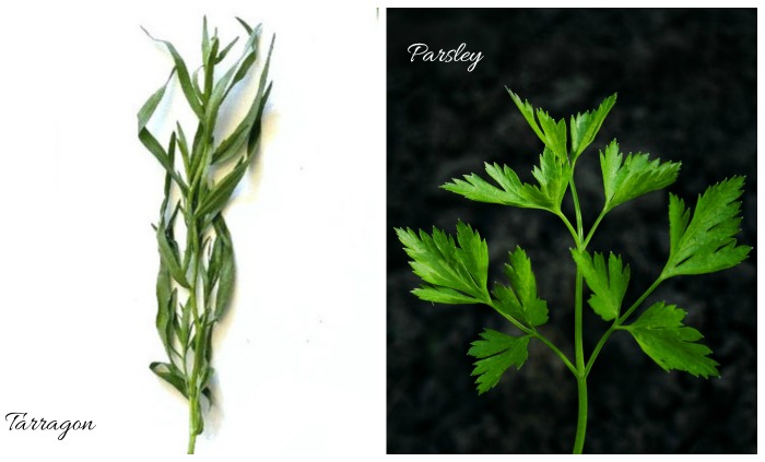 Use tarragon and parsley together as a substitute for chervil