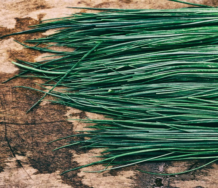 Harvesting chives