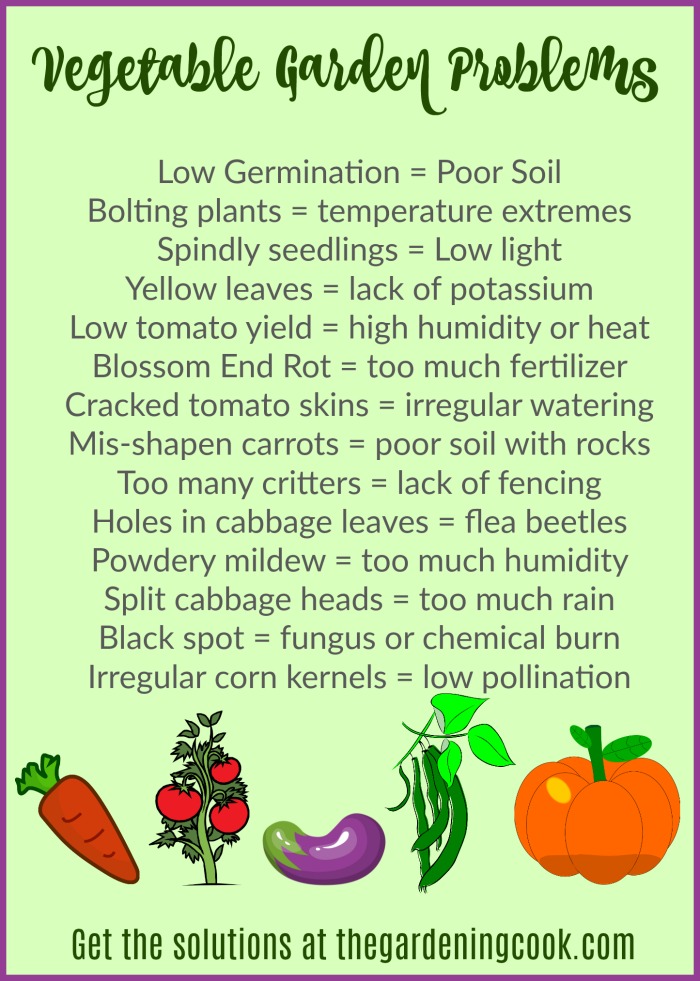 Vegetable Garden Problems. Click through to find the solutions