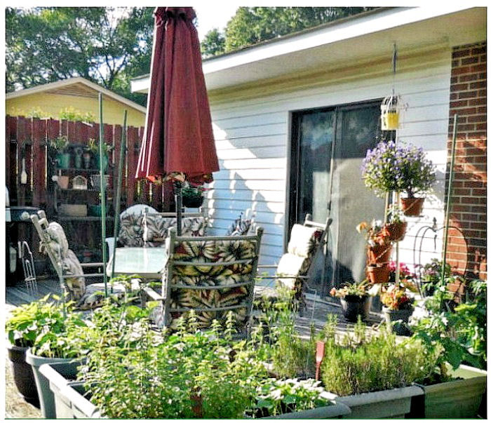 Vegetable gardening on a deck
