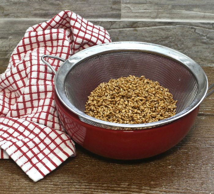 Drained wheat grass seeds