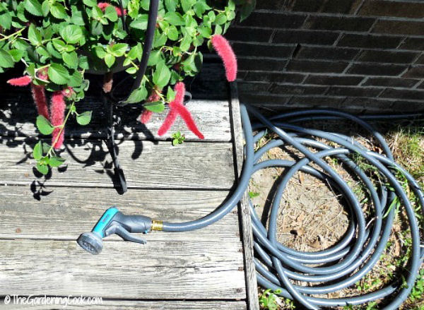 Garden hose ready to water plants