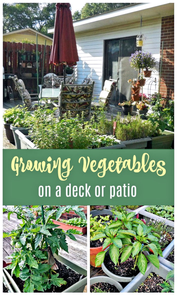 Growing vegetables on a deck or patio