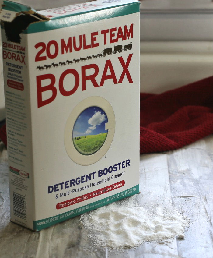 How to kill ants with Borax detergent