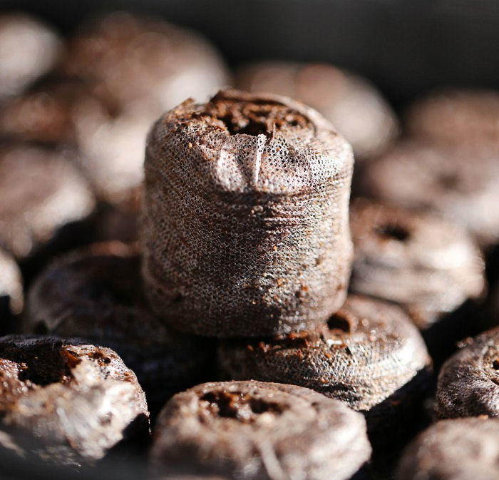 Add water to expand peat pellets to about 1 1/2" in size