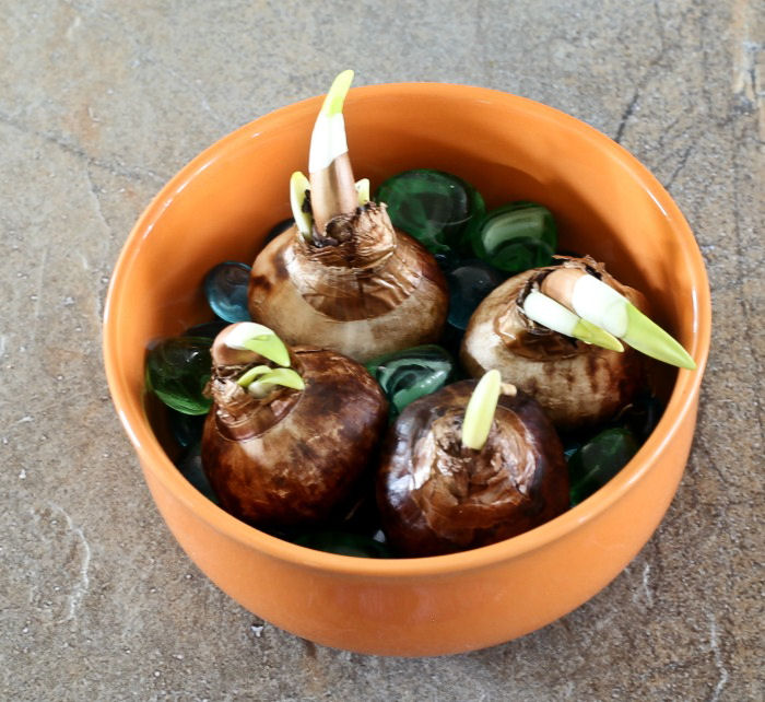 Add more rocks to the container