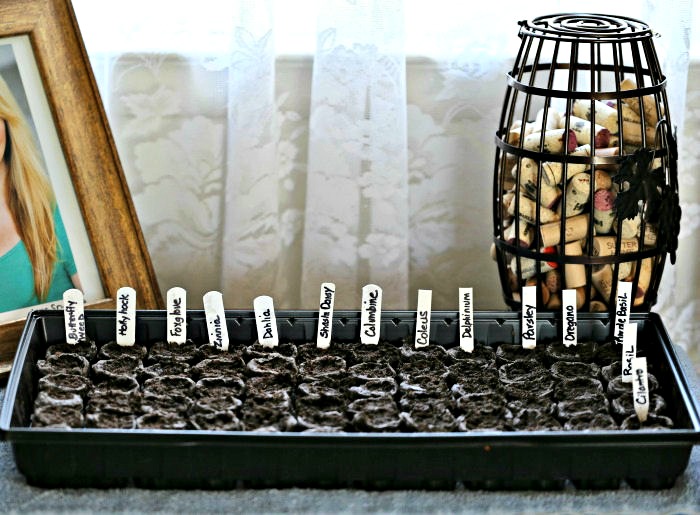 Starting seeds indoors is easy with peat pellets