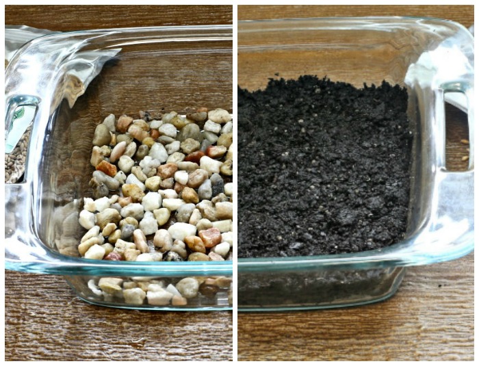 Drainage and seed starting soil for wheatgrass seeds