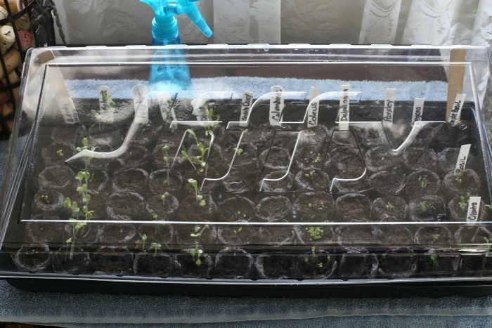 Raise the lid on the peat pellet tray