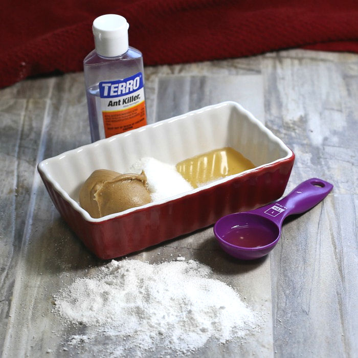 Testing homemade ant killers