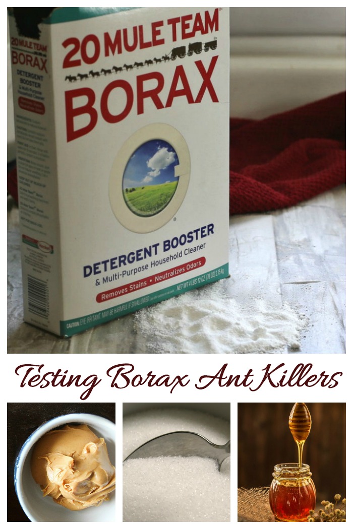 Testing Borax Ant Killers