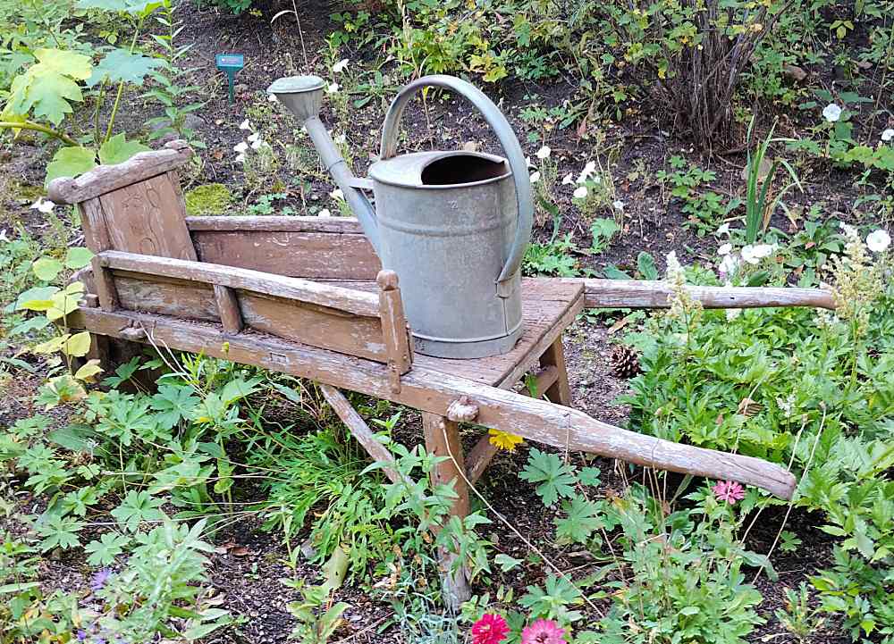 Old wheelbarrow with watering can.