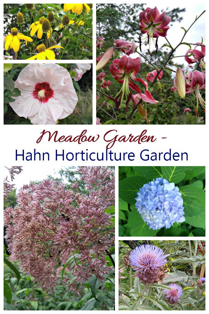 Meadow Garden Hahn Horticulture Garden in Virginia
