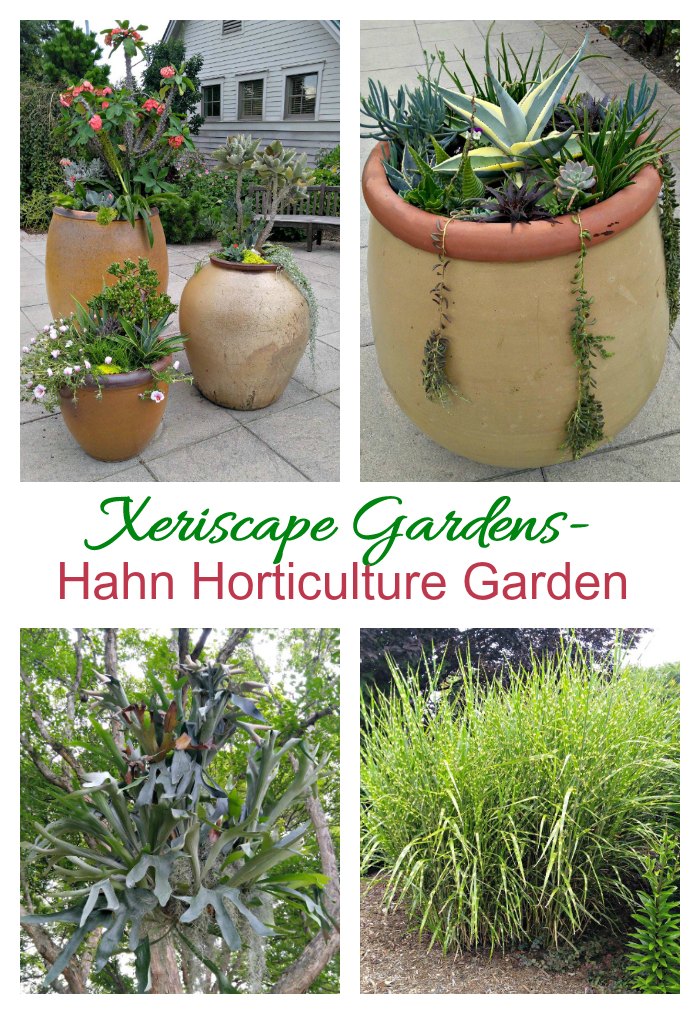 Xeriscape gardens at Hahn Horticulture Gardens