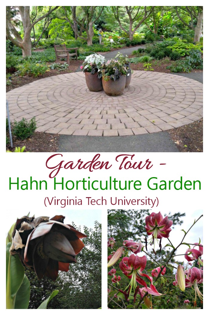 Join me in a garden tour of The Hahn Horticulture Garden at Virginia Tech University in Blacksburg, VA.