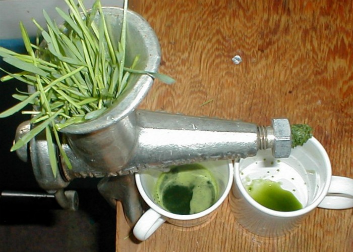 Juicing Wheatgrass