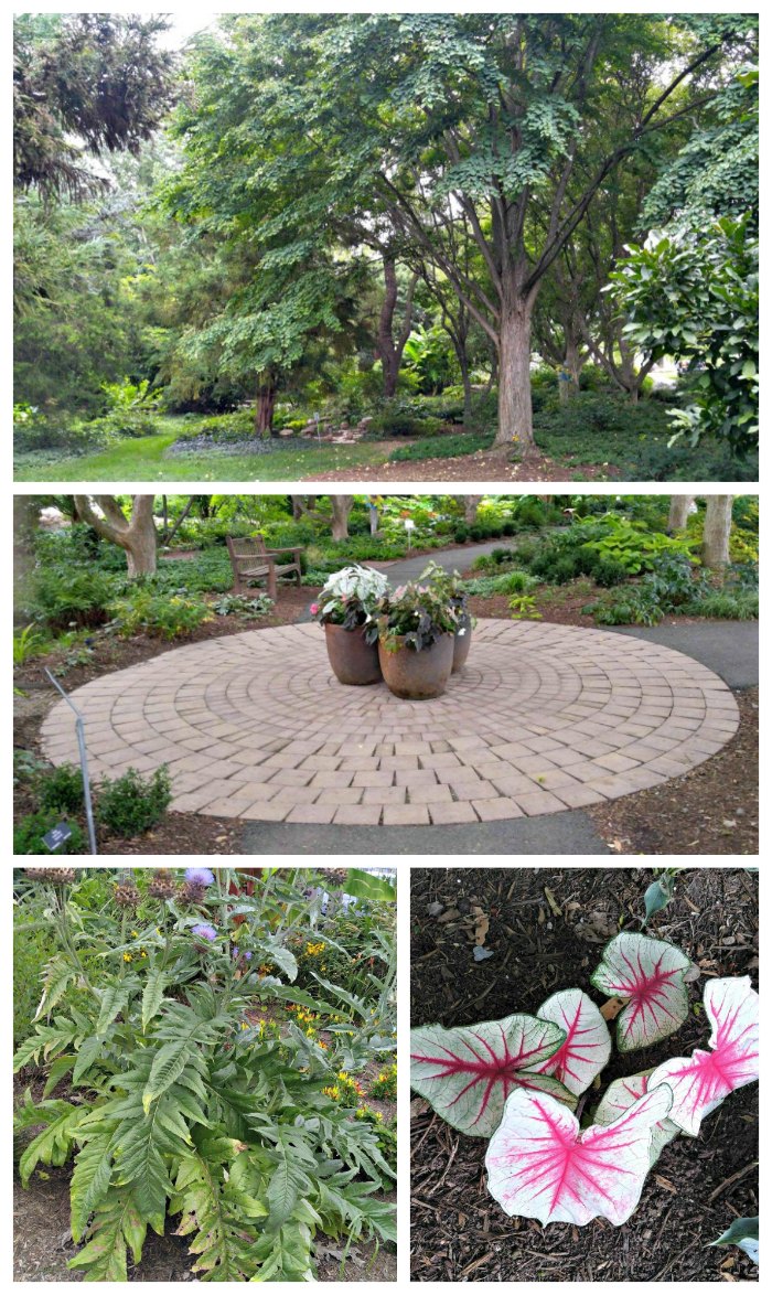 Shade Gardens