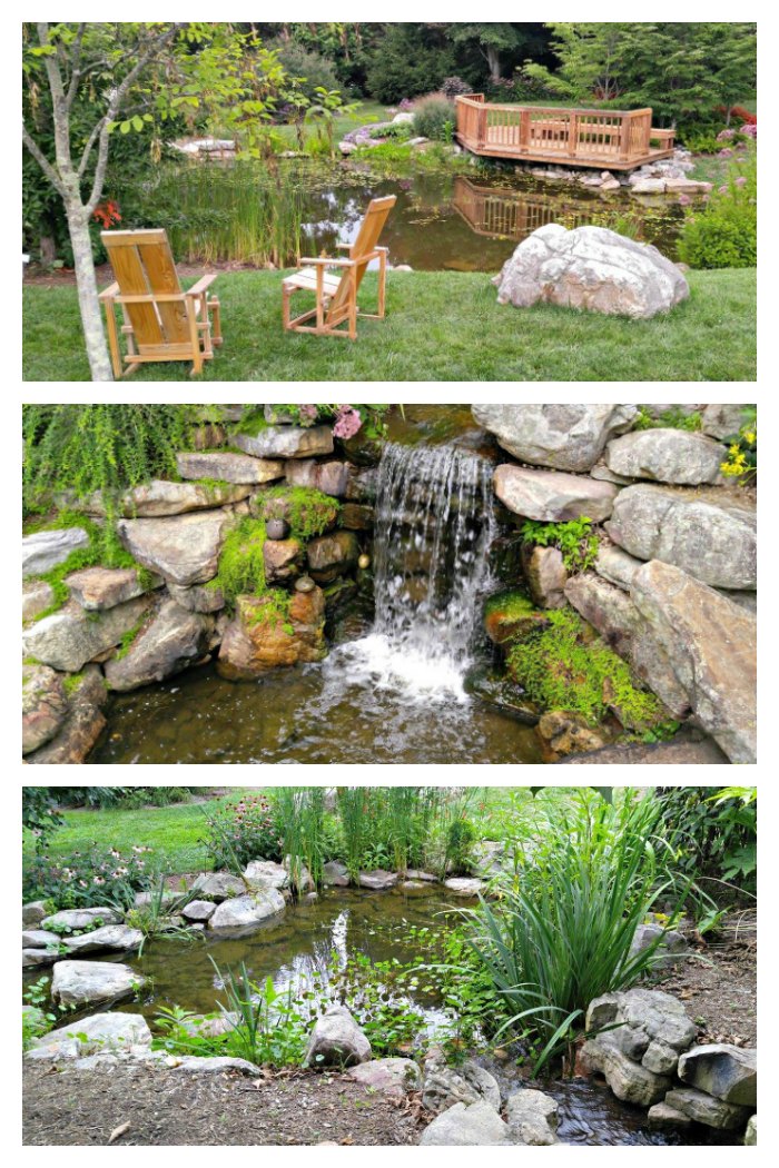 Small pond at Hahn Horticulture gardens
