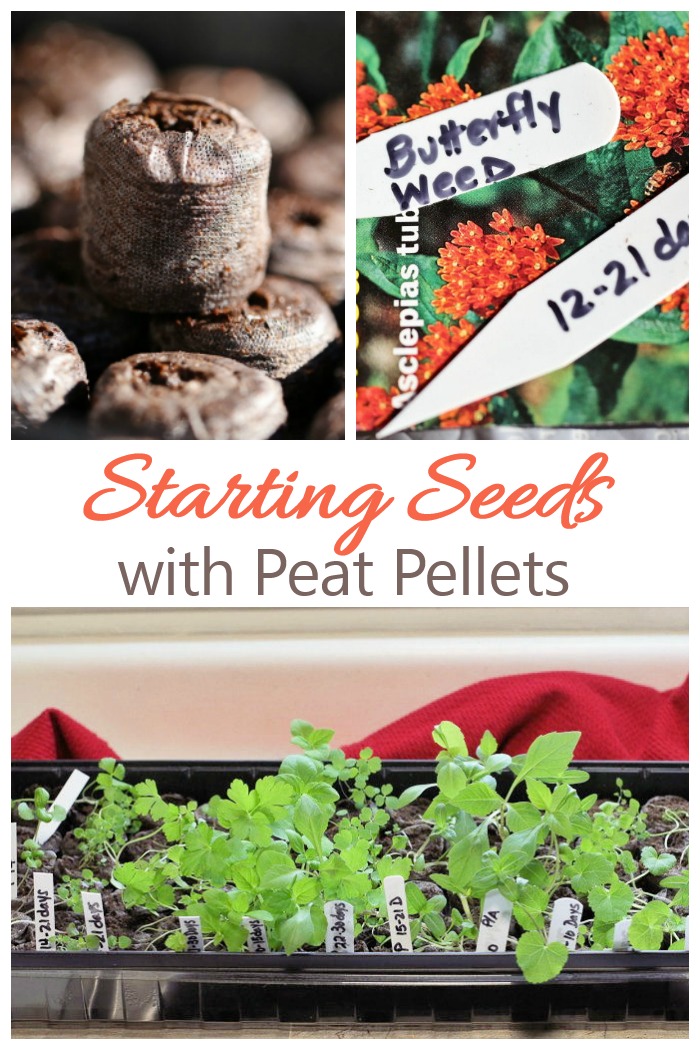 Starting Seeds Indoors with Jiffy Peat Pellets - How to Grow Seeds in Peat Pots. See my step by step tutorial, including planting tips.