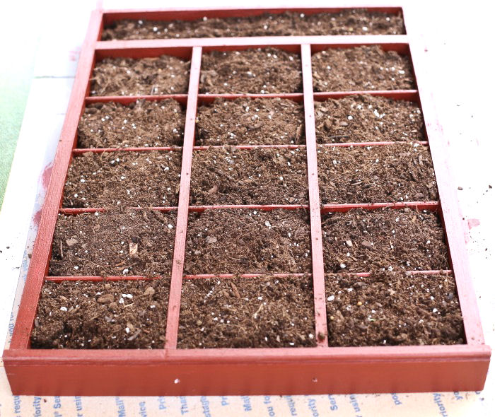Succulent and cactus soil in a wooden drawer