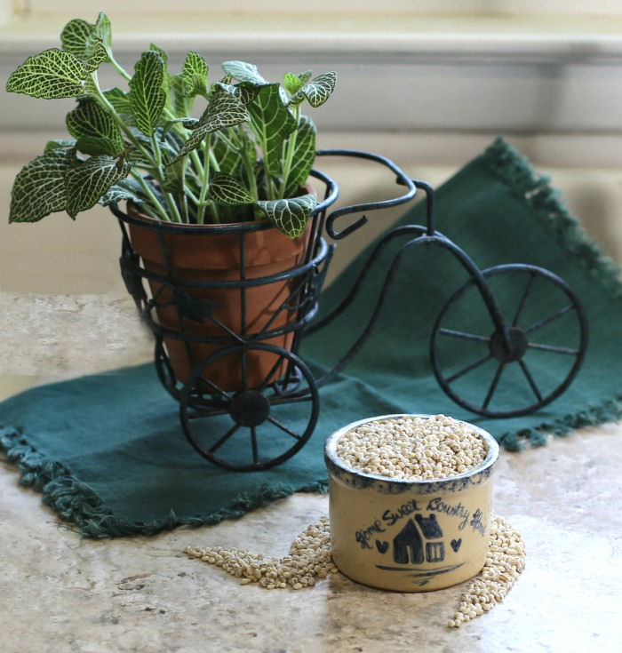 Whole grain barley takes longer to cook than pearled barley