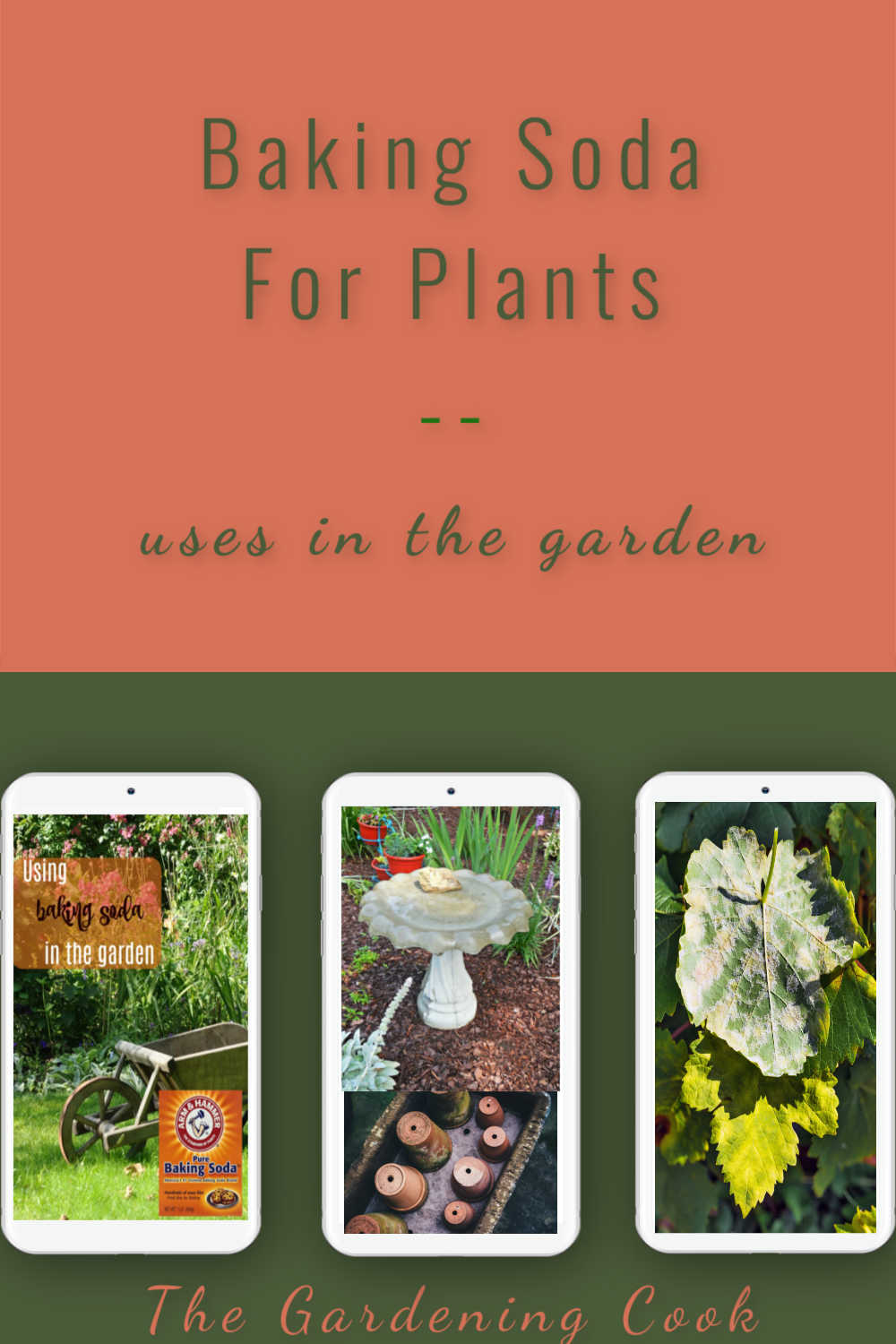 Three phones with pictures of garden items and words reading Baking soda for plants - uses in the garden.