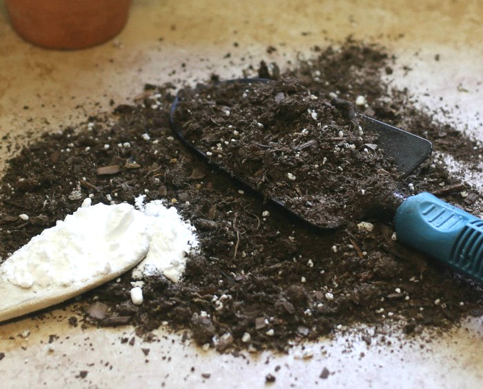 Baking soda soil test - garden soil with a trowel an spoon of baking soda.