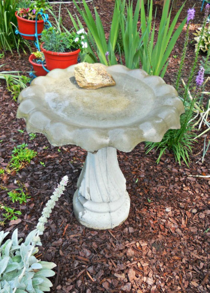 Bird bath near some garden plants.