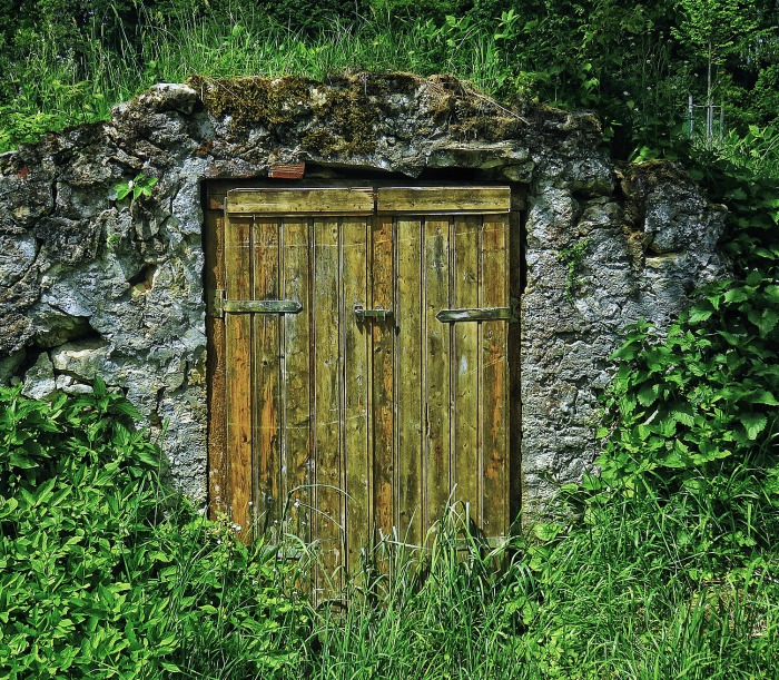 Cold cellars will keep root vegetables fresh for months