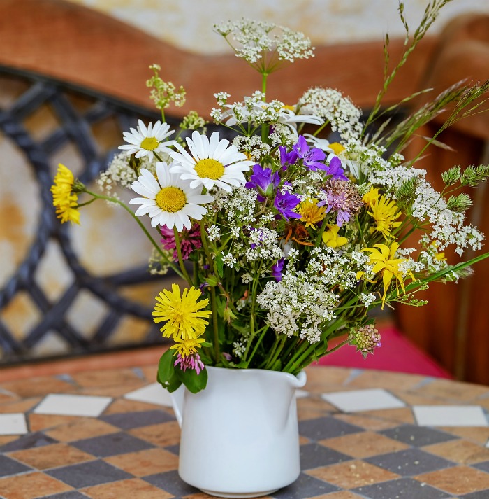 Shasta daisies make great cut flowers