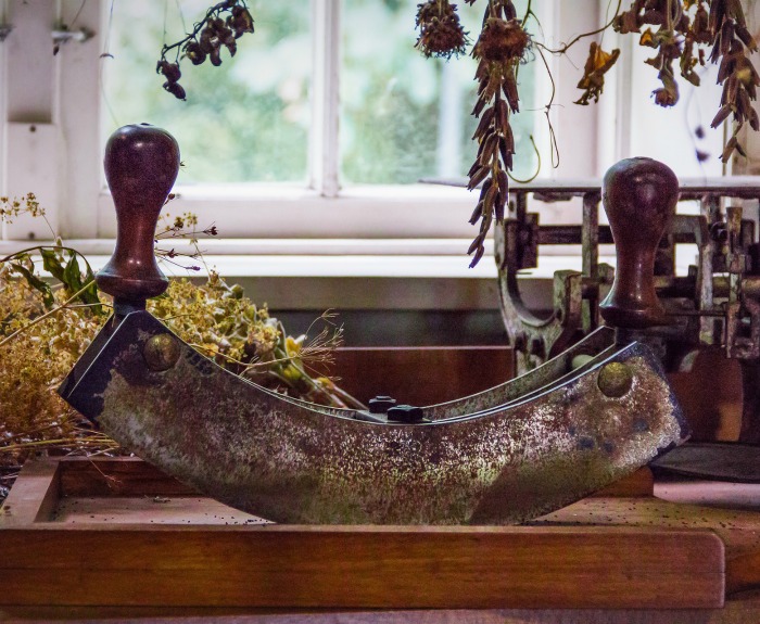 Drying herbs