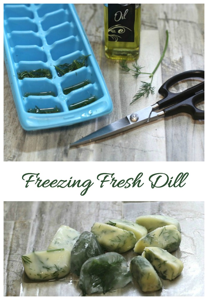 Freezing fresh dill is super easy to do