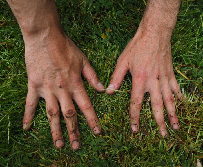 Dirty garden hands with fingers spread on grass.