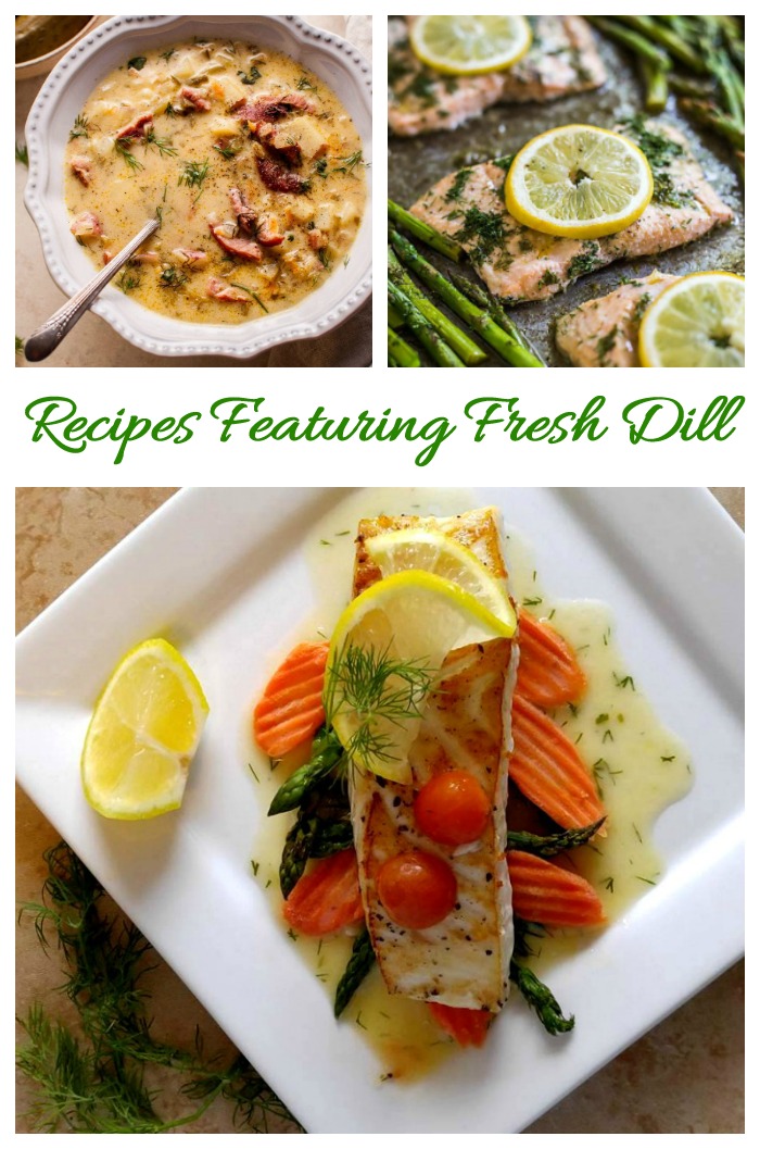 Delicious recipes using fresh dill for seasoning