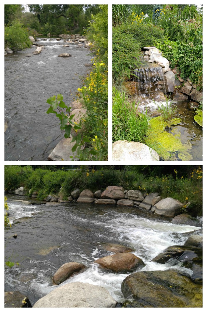 waterfalls and running water Christiana Creek is a big part of the Wellfield Botanic Gardens
