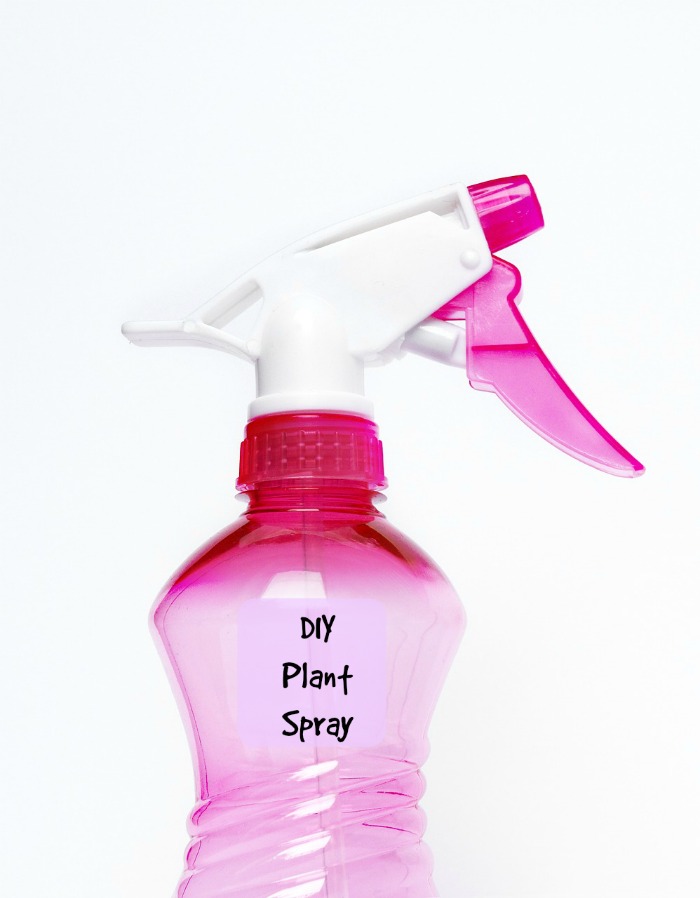 Red spray bottle with words DIY plant spray.