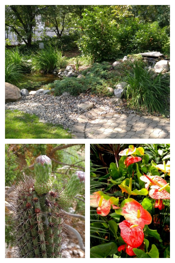 Foellinger-Freimann Botanical Conservatory Foellinger-Freimann Botanical Conservatory
