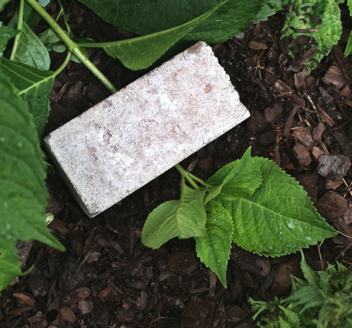 brick holding hydrangea stem
