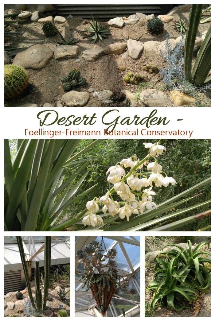 desert garden of the Foellinger-Freimann Botanical Conservatory Desert Garden of the Foellinger-Freimann Botanical Conservatory