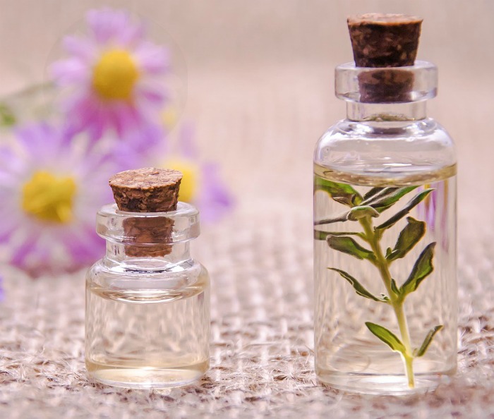 Echinacea have many herbal properties