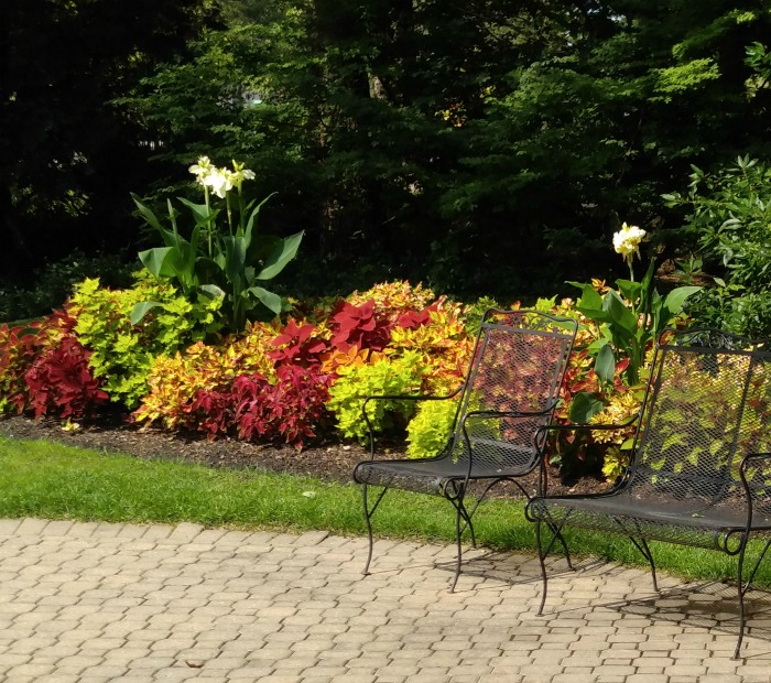 terrace garden Foellinger-Freimann Botanical Conservatory terrace garden Foellinger-Freimann Botanical Conservatory